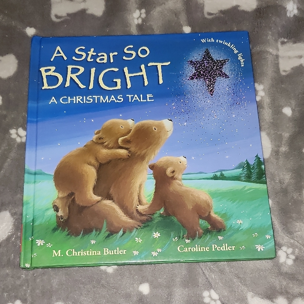 Scholastic Magical Winter Tale Book - Blue and Green Cover